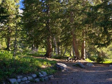 Camper submitted image from Albion Basin - 1