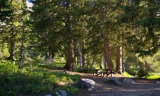 Camping near Red Pine Lake: Albion Basin, Alta, Utah