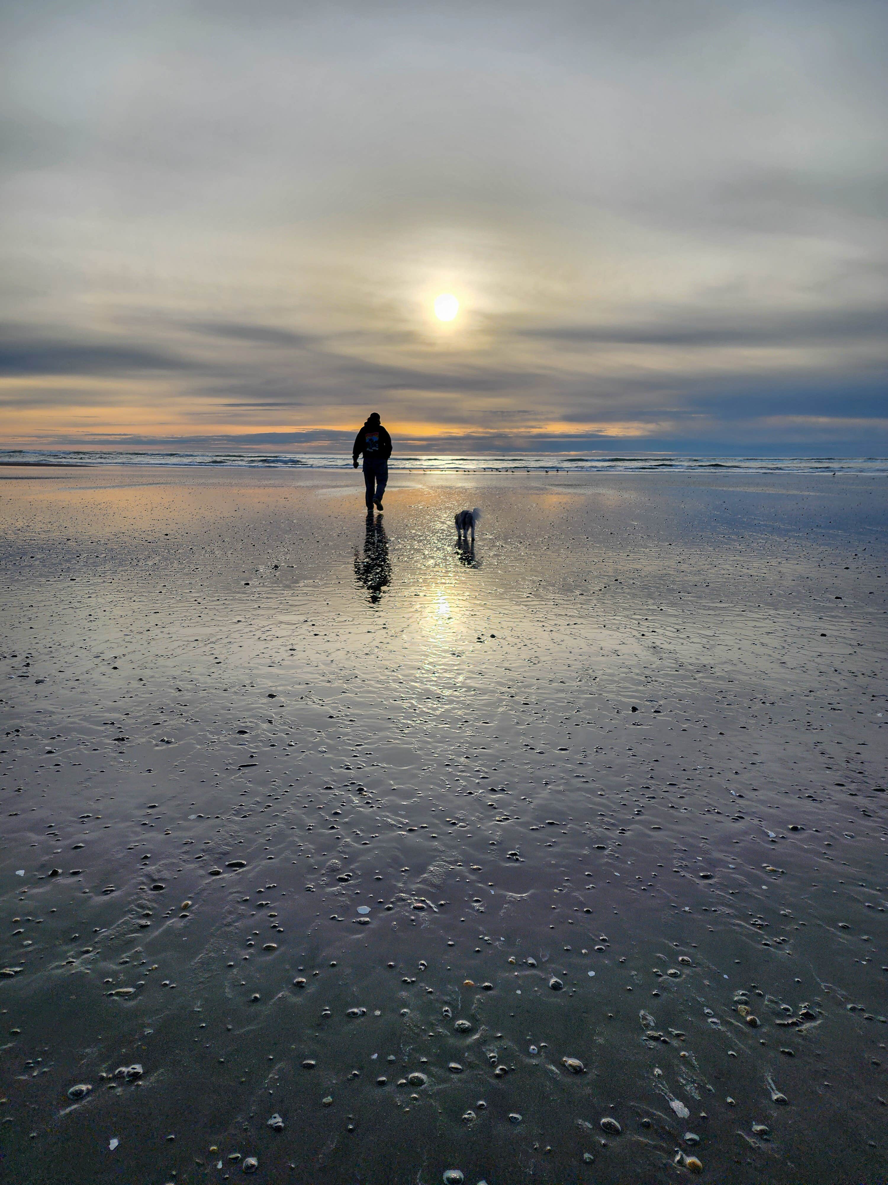 Jade W.'s photo of camping with pets at Westport RV Park & Motel near Raymond, WA