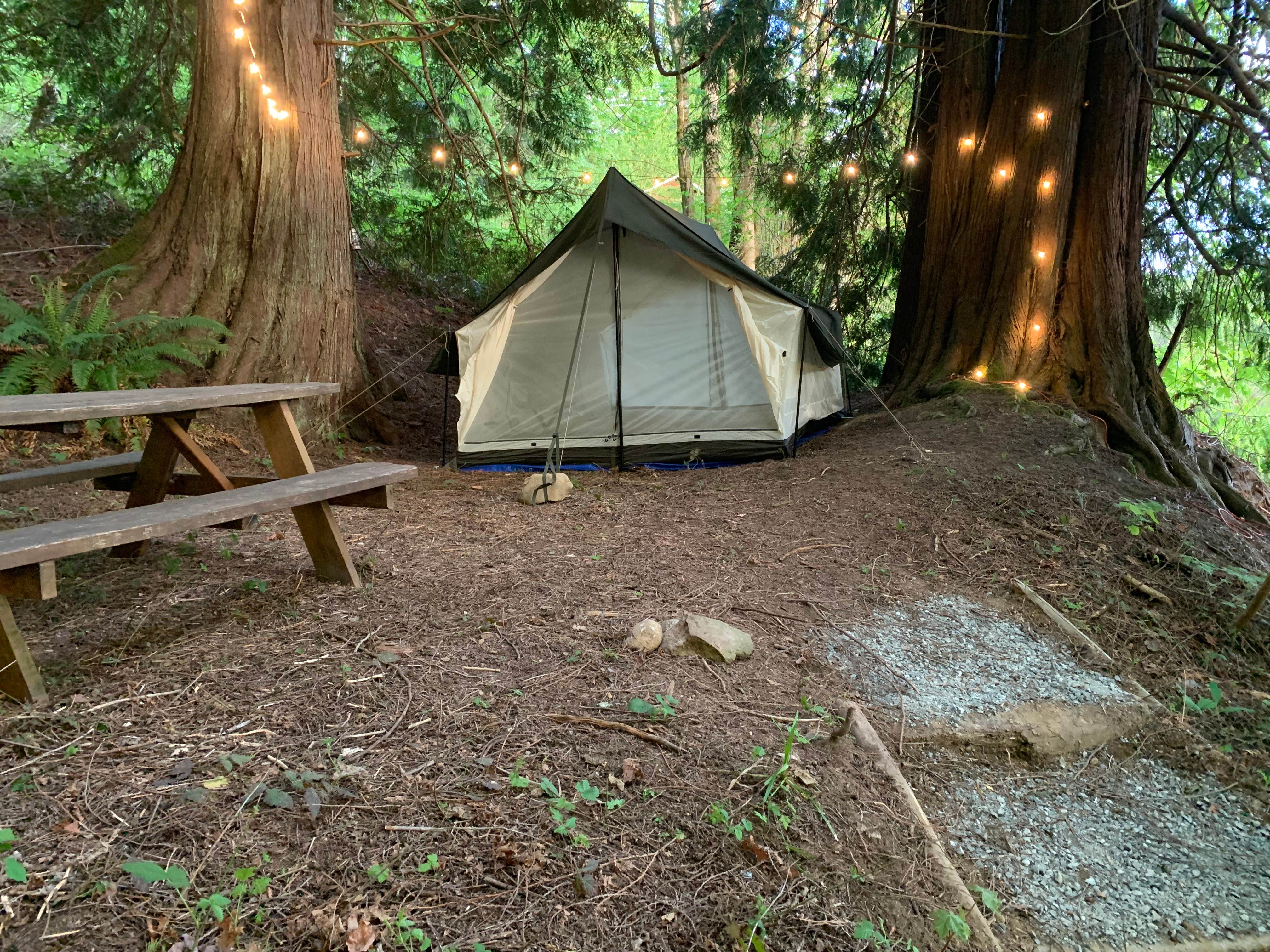 Zach H.'s photo at Lazy H Farm and Gardens near Marysville, WA