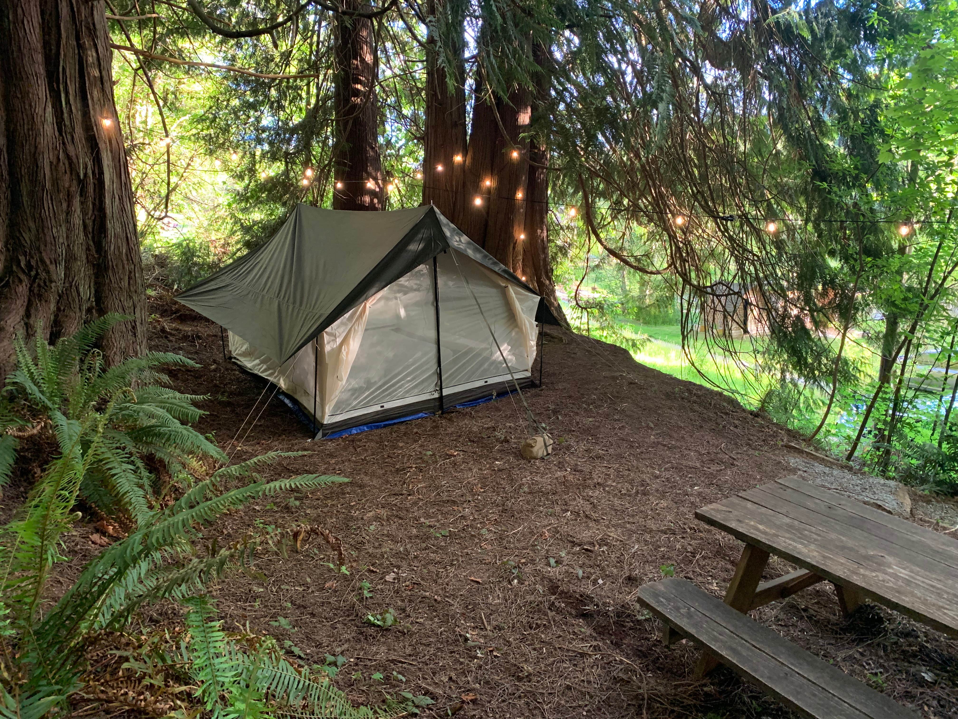 Camper-submitted photo at Lazy H Farm and Gardens near Arlington, WA