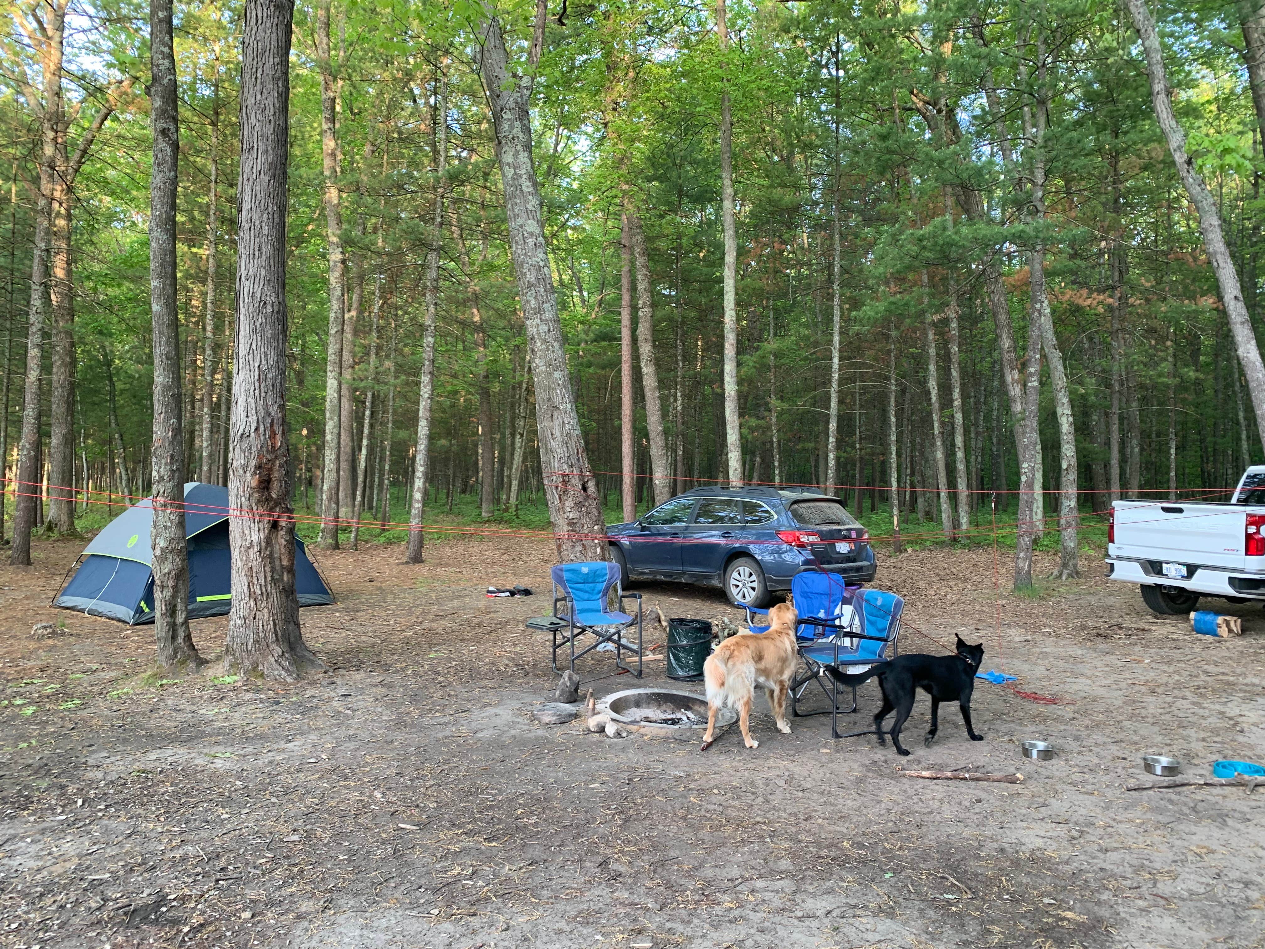Camper-submitted photo at Government Landing Campground near Ludington, MI
