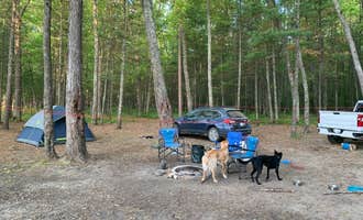 Camping near Sawkaw Lake: Government Landing Campground, Wellston, Michigan