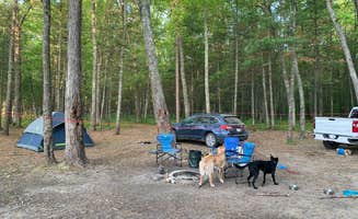 Brittany D.'s photo at Government Landing Campground near South Branch, MI