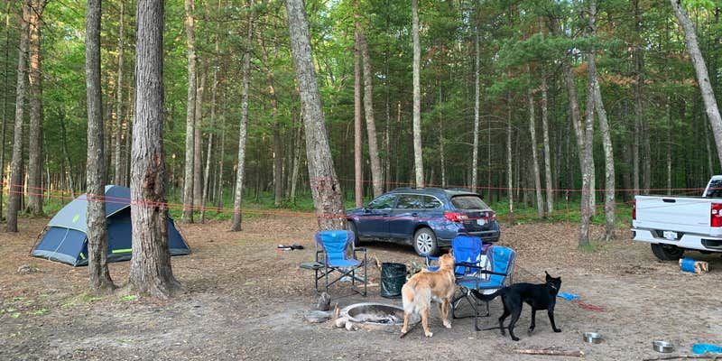 Camper submitted image from Government Landing Campground