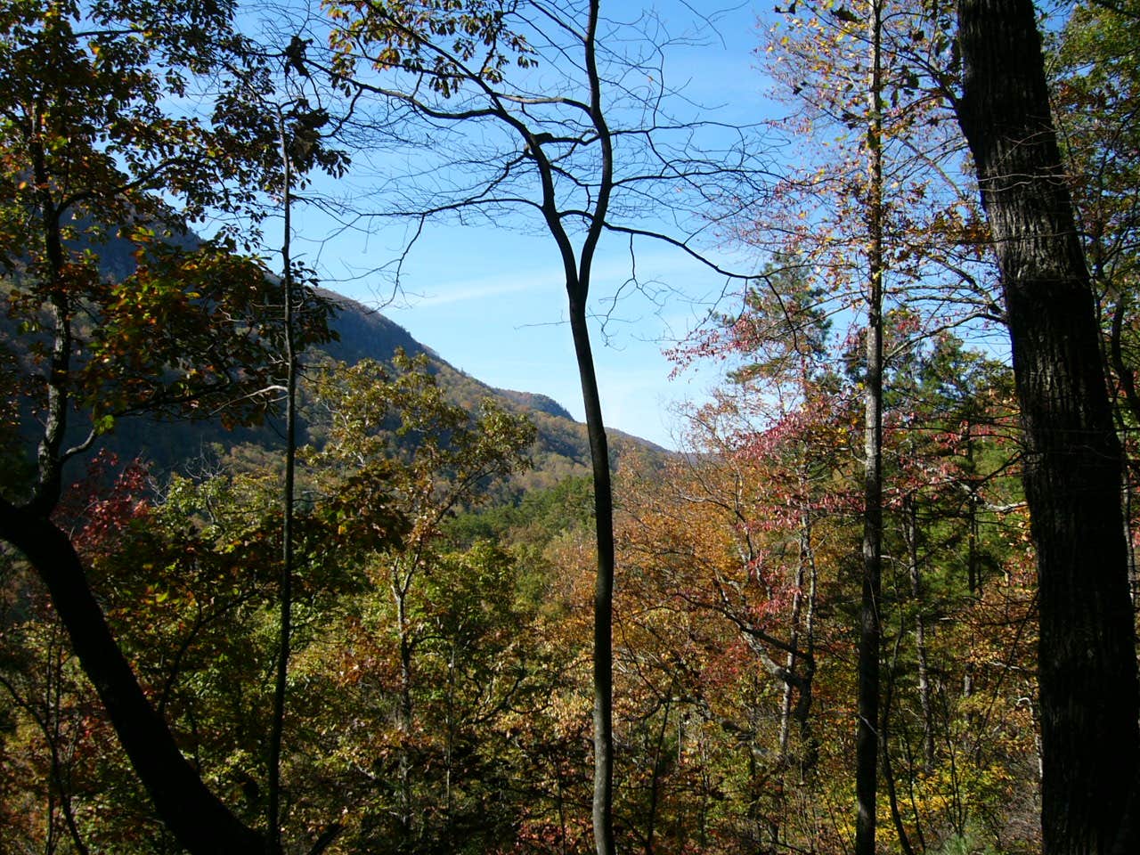 Camper submitted image from Jones Gap State Park Campground - 2