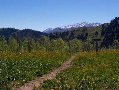 Camper-submitted photo at Uinta National Forest Blackhawk Campground near Fairview, UT