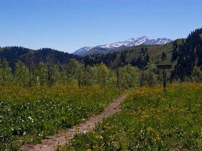 Camper submitted image from Uinta National Forest Blackhawk Campground - 4