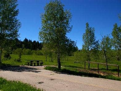 Camper-submitted photo at Uinta National Forest Blackhawk Campground near Fairview, UT