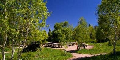 Camper submitted image from Uinta National Forest Blackhawk Campground