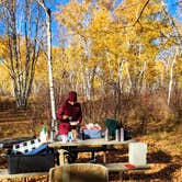 Review photo of Zippel Bay State Park Campground by Fred S., May 20, 2024