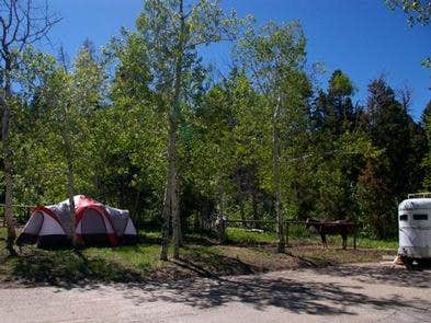 Camper-submitted photo at Uinta National Forest Blackhawk Campground near Fairview, UT