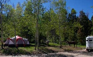 The Dyrt's photo at Uinta National Forest Blackhawk Campground near Santaquin, UT