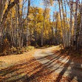 Review photo of Zippel Bay State Park Campground by Fred S., May 20, 2024