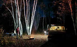 Fred S.'s photo at Zippel Bay State Park Campground near Birchdale, MN