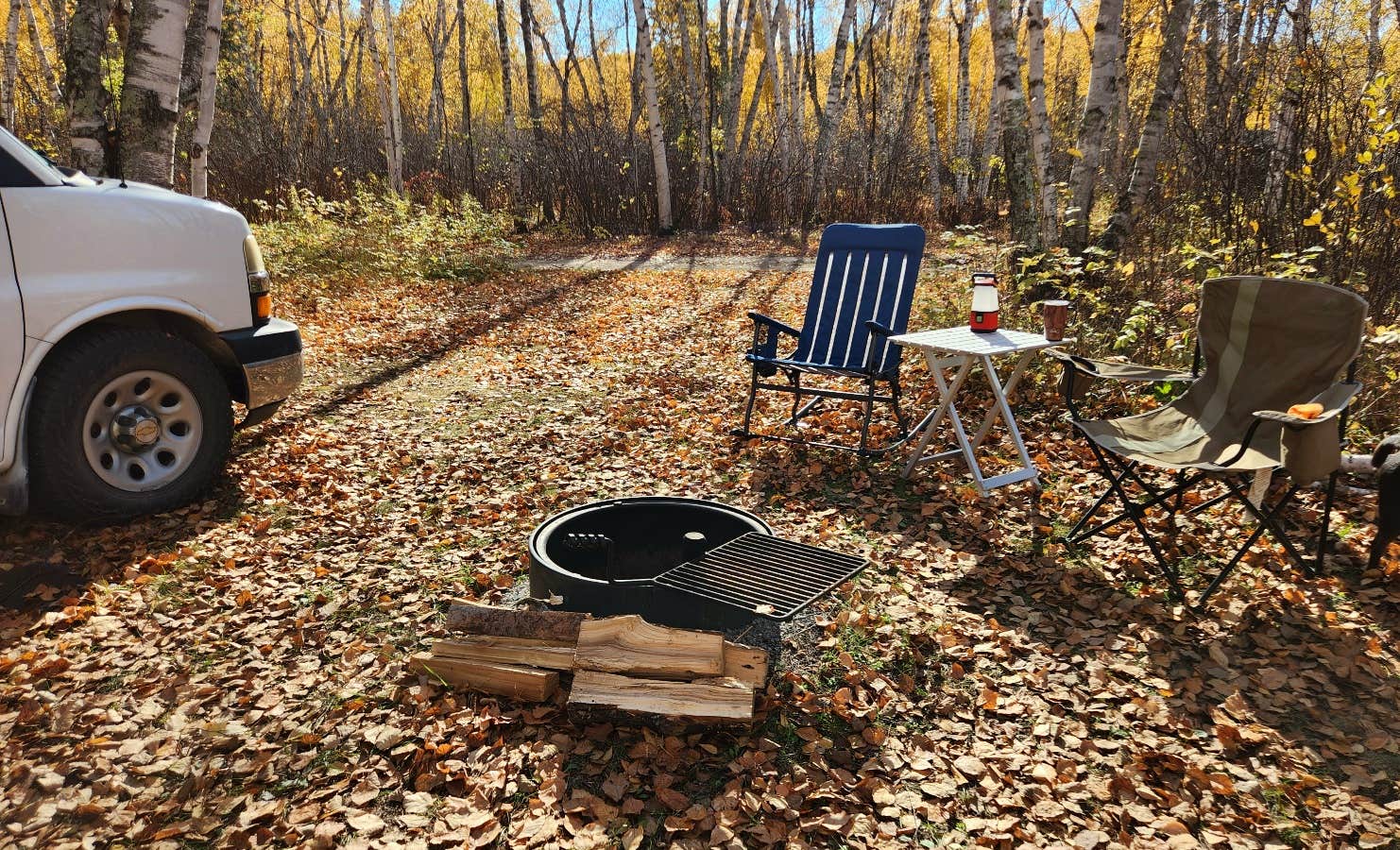 Fred S.'s photo of camping with pets at Zippel Bay State Park Campground near Roseau, MN