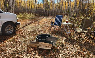 Fred S.'s photo of camping with pets at Zippel Bay State Park Campground near Roseau, MN