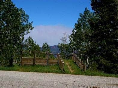 Camper submitted image from Uinta National Forest Blackhawk Campground - 5