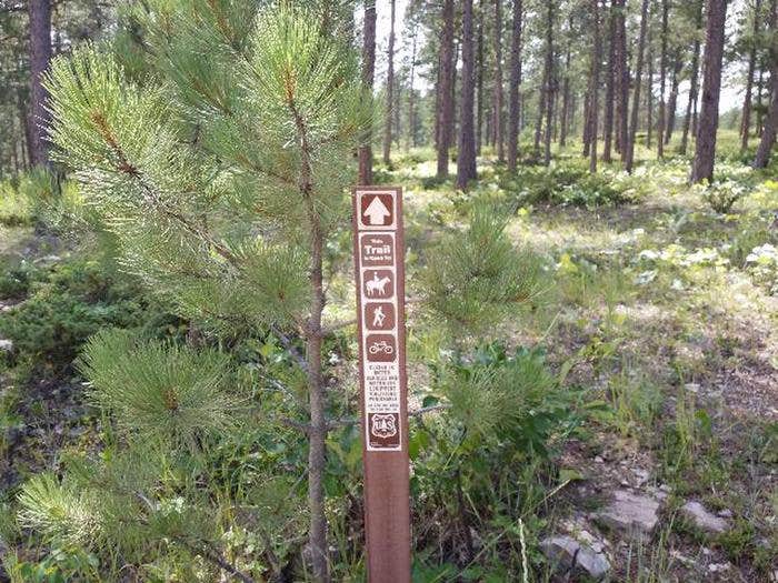 Camper submitted image from Reuter Campground - 4
