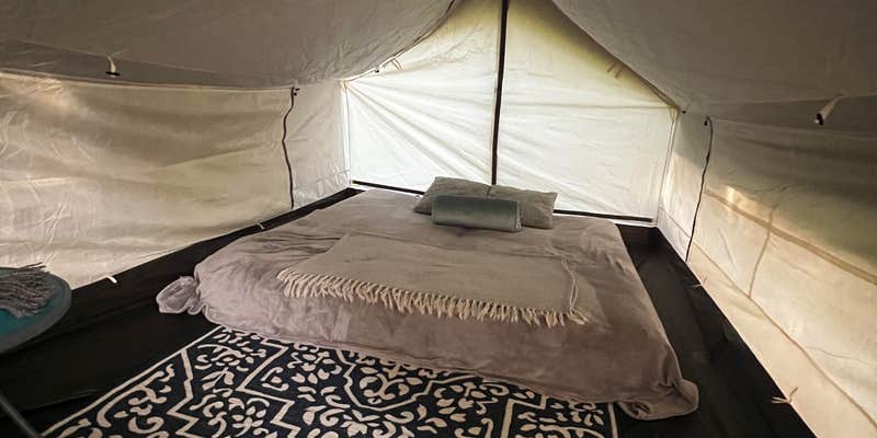 Camper submitted image from Lazy H Farm and Gardens