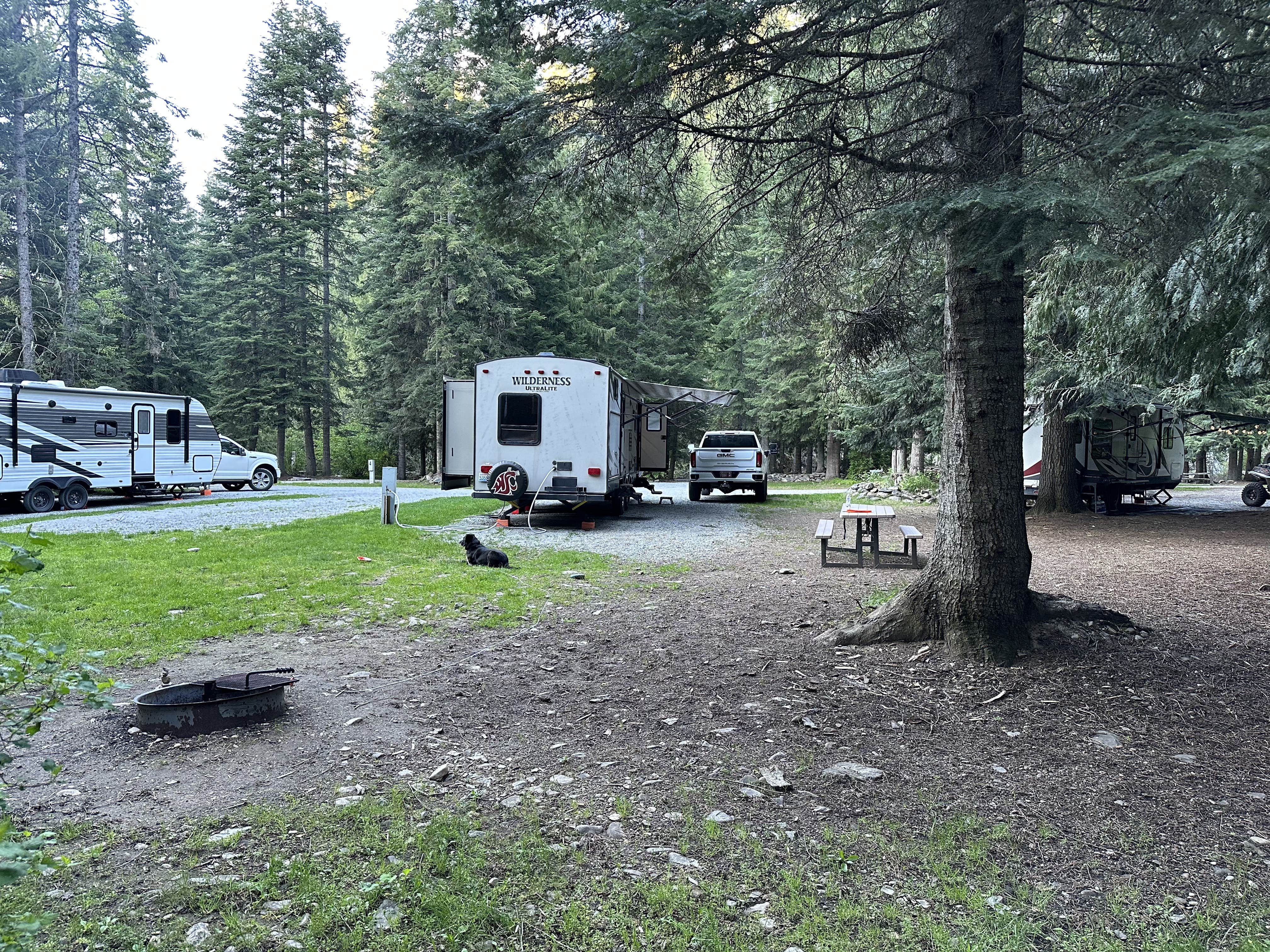 Brock W.'s photo of camping with pets at Lost Moose Campground near Wallace, ID