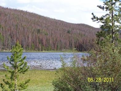 Camper submitted image from Bridger Lake Campground - 2