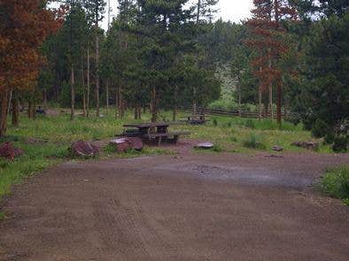 Camper submitted image from Browne Lake Group Sites - 2