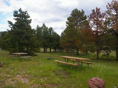 Picnic tables in a grassy area with a few pines in the area.



Browne Lake Campground

Credit: U.S. Forest Service