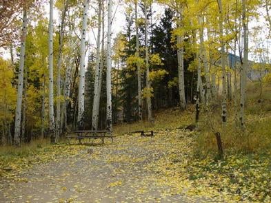 Camper submitted image from Manti-LaSal National Forest Buckboard Campground - 2