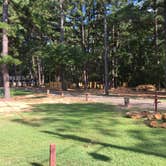 Review photo of Jellystone Park™ Tyler by Shelly S., September 14, 2016