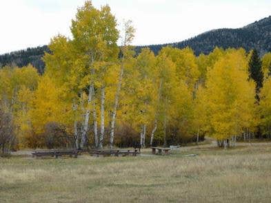 Camper submitted image from Manti-LaSal National Forest Buckboard Campground - 1