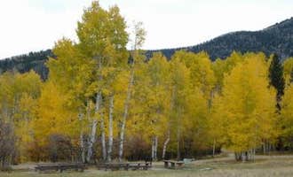 Camping near Blue Mountain RV Park: Manti-LaSal National Forest Buckboard Campground, Monticello, Utah