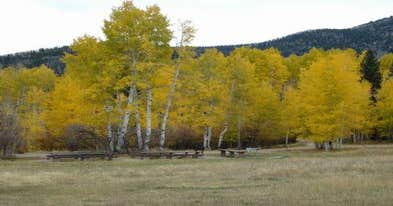 Manti-LaSal National Forest Buckboard Campground