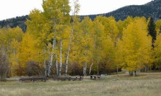 Camping near Devils Canyon Campground: Manti-LaSal National Forest Buckboard Campground, Monticello, Utah