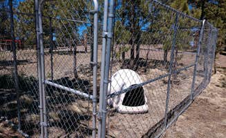 Tina S.'s photo of camping with pets at Buckaroo Bunkhouse Camping near Guffey, CO