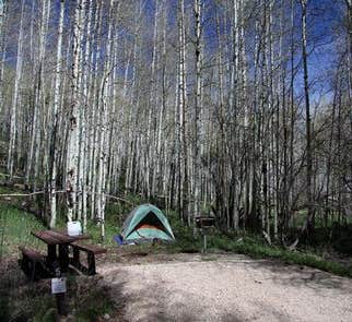 Camper-submitted photo from Manti-LaSal National Forest Buckboard Campground