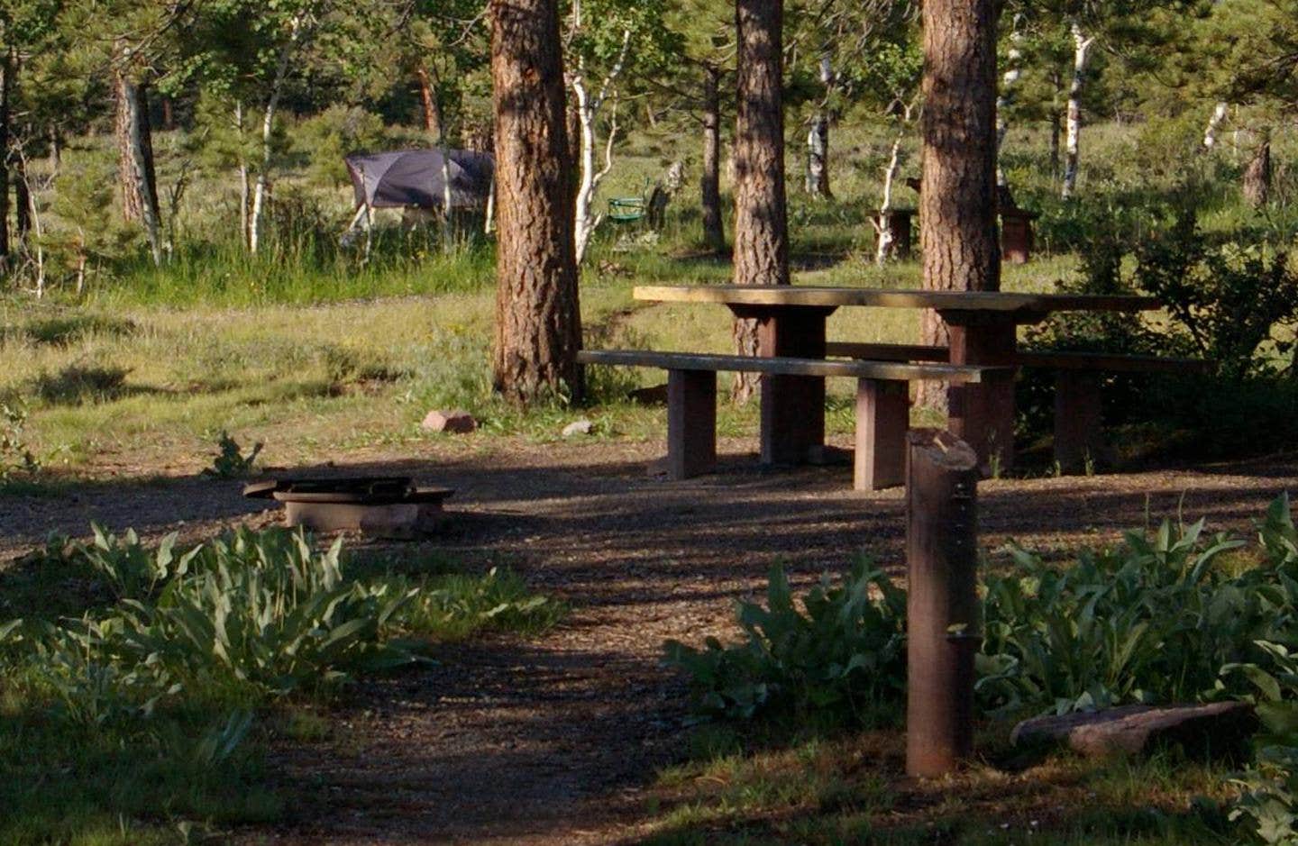 Camper submitted image from Canyon Rim - 4