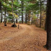 Review photo of Hungry Man Forest Campground by Fred S., May 21, 2024