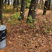 Review photo of Hungry Man Forest Campground by Fred S., May 21, 2024