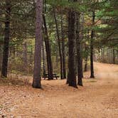 Review photo of Hungry Man Forest Campground by Fred S., May 21, 2024