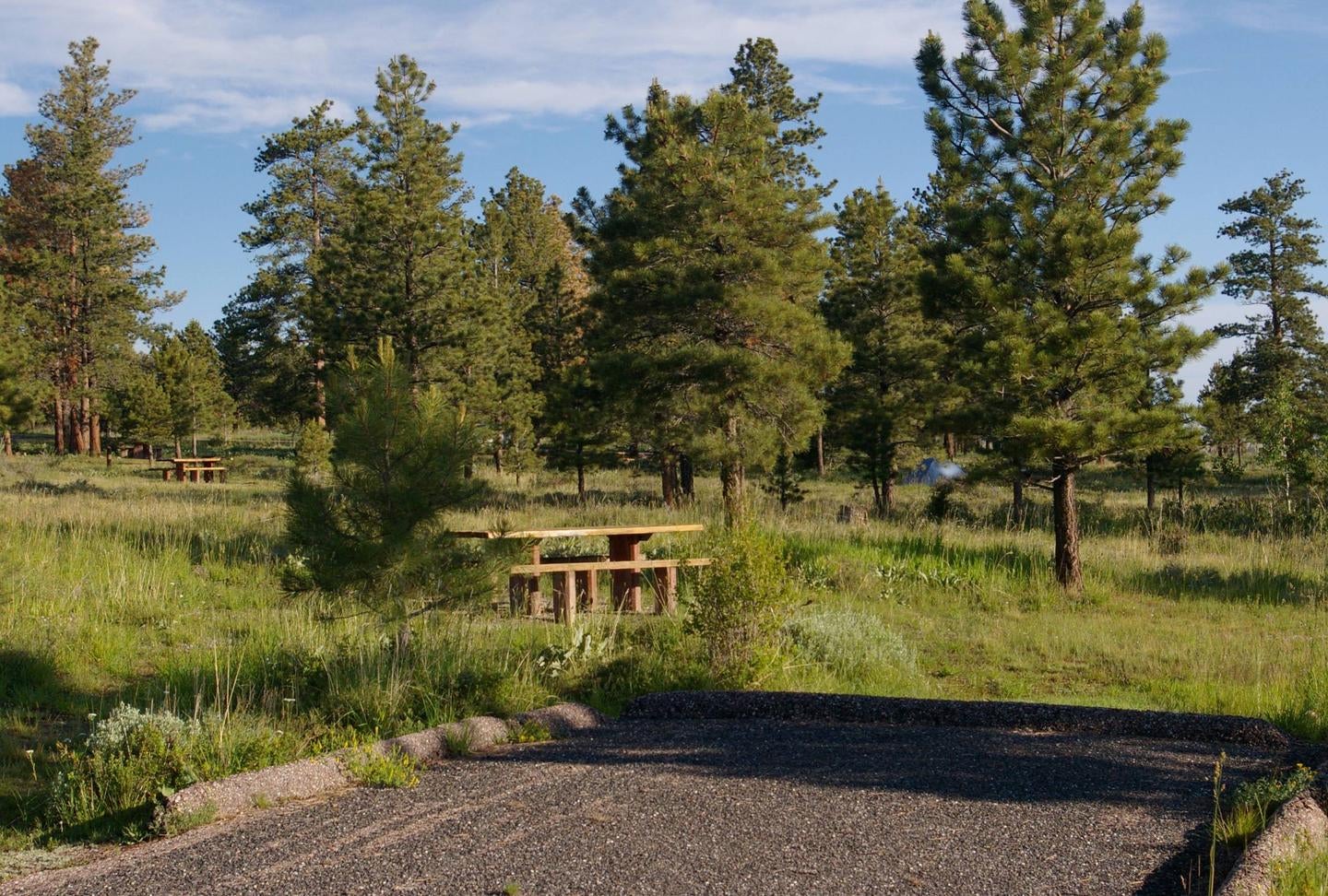 This site has a picnic table and grill in a grassy area to the back of the parking slot. There are a few trees that are in the background. 



Canyon Rim Campground

Credit: U.S. Forest Service