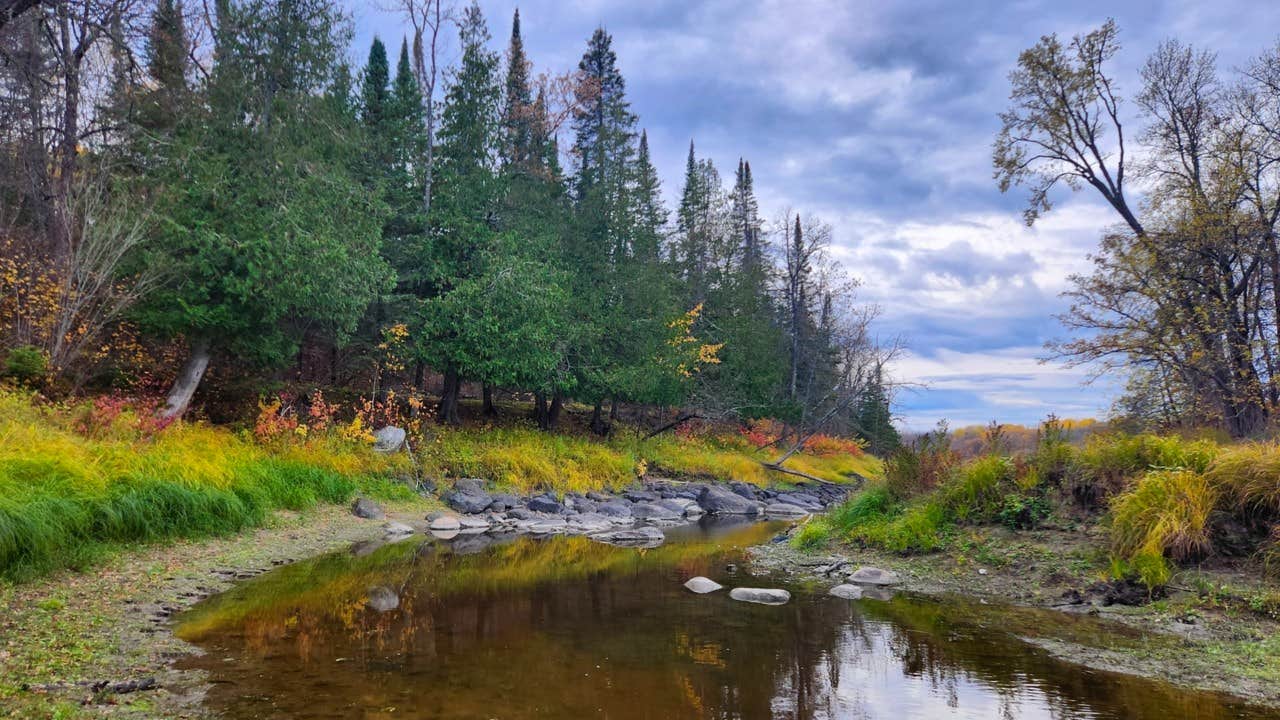 Camper-submitted photo at Franz Jevne State Park Campground near Birchdale, MN