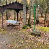 Review photo of Franz Jevne State Park Campground by Fred S., May 22, 2024