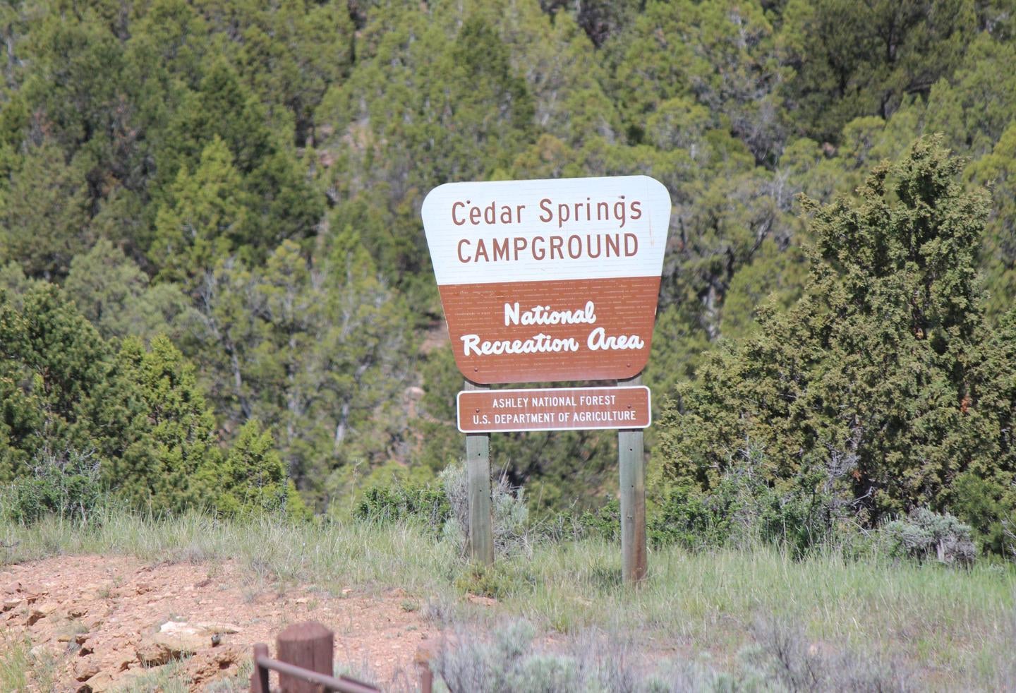Cedar Springs Campground sign at the entrance of the campground.



Cedar Springs Campground

Credit: U.S. Forest Service