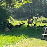 Review photo of Elk Country RV Resort & Campground by Richard H., May 22, 2024