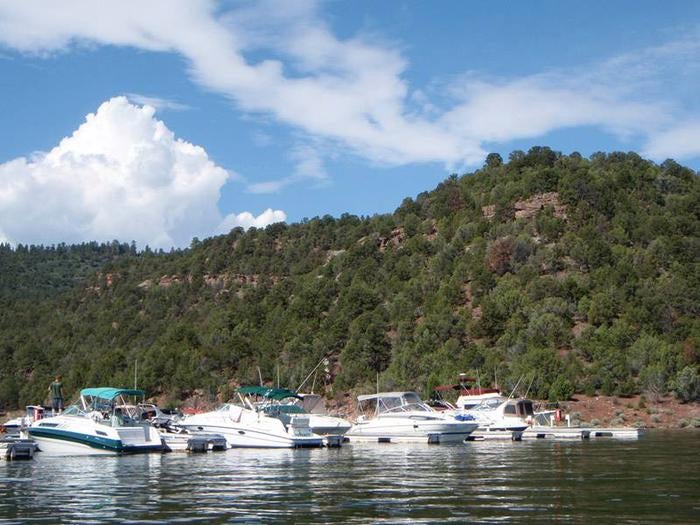 Boats in dock slips in a marina with a mountain of red rock and trees in the background.



Cedar Springs Marina 

Credit: U.S. Forest Service