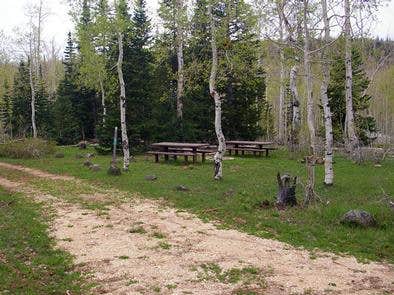 Camper submitted image from Deer Haven Campground - 3