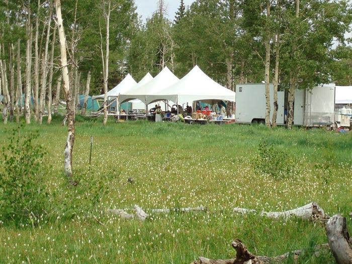 Camper submitted image from Deer Haven Campground - 2