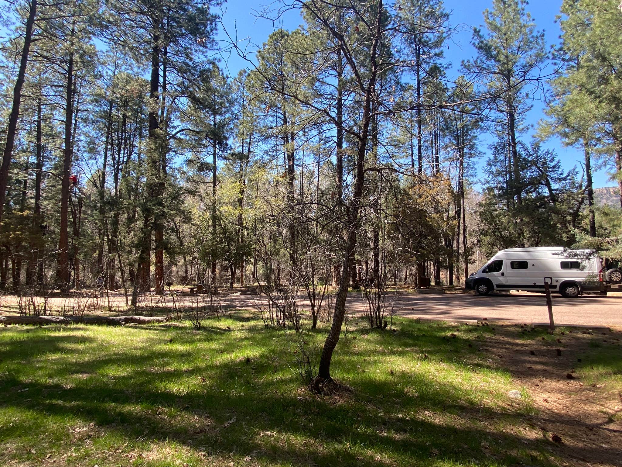 Kim G.'s photo at Christopher Creek near Young, AZ