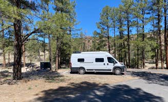 Kim G.'s photo of rv camping at Juniper Family Campground — Bandelier National Monument near Cañones, NM